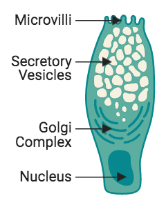 Created with BioRender.com